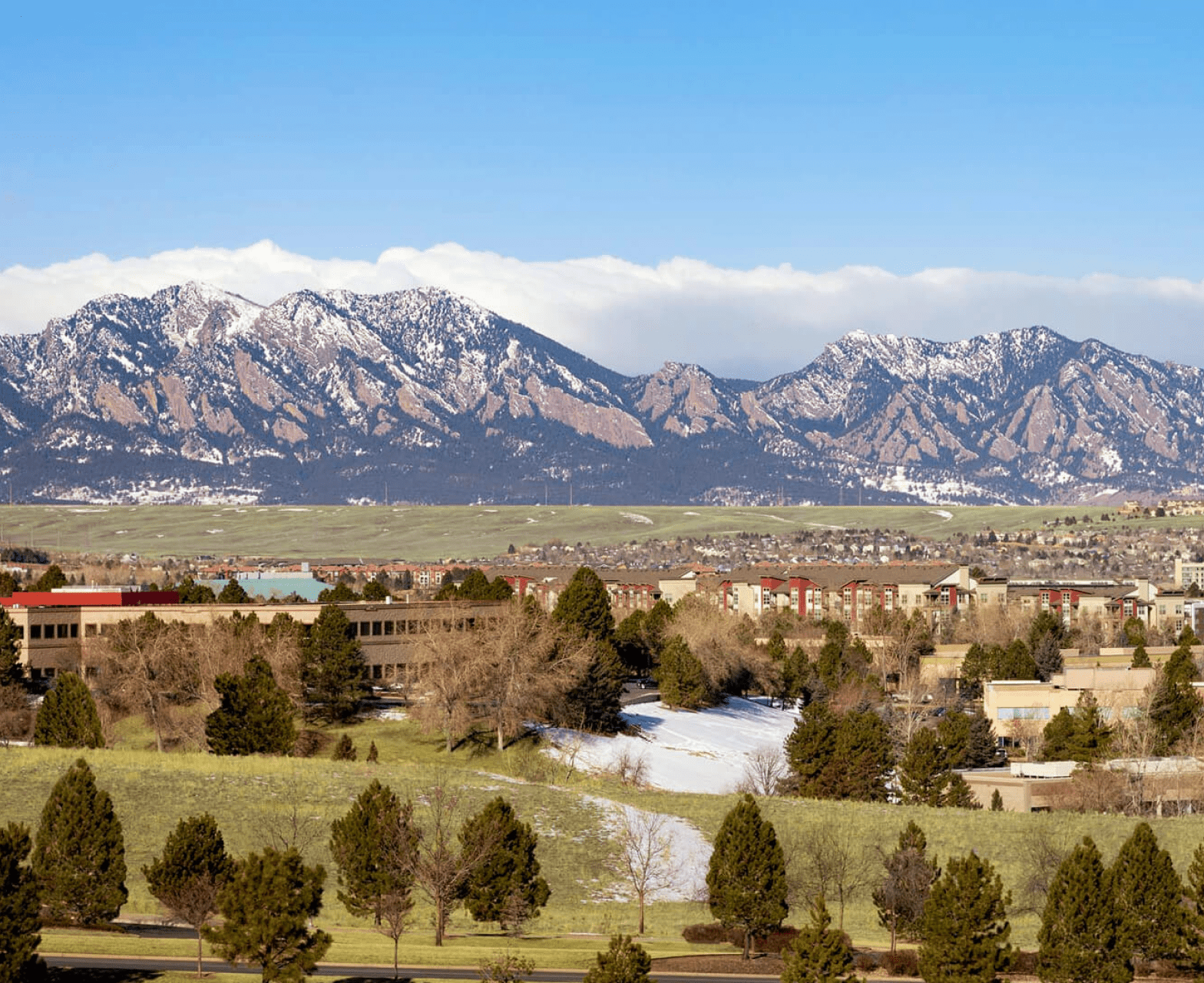 Broomfield Deck Services